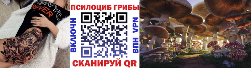 сколько стоит  Шали  Галлюциногенные грибы Cubensis 