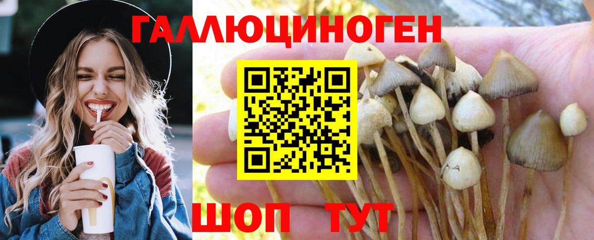 Галлюциногенные грибы Psilocybine cubensis Шали