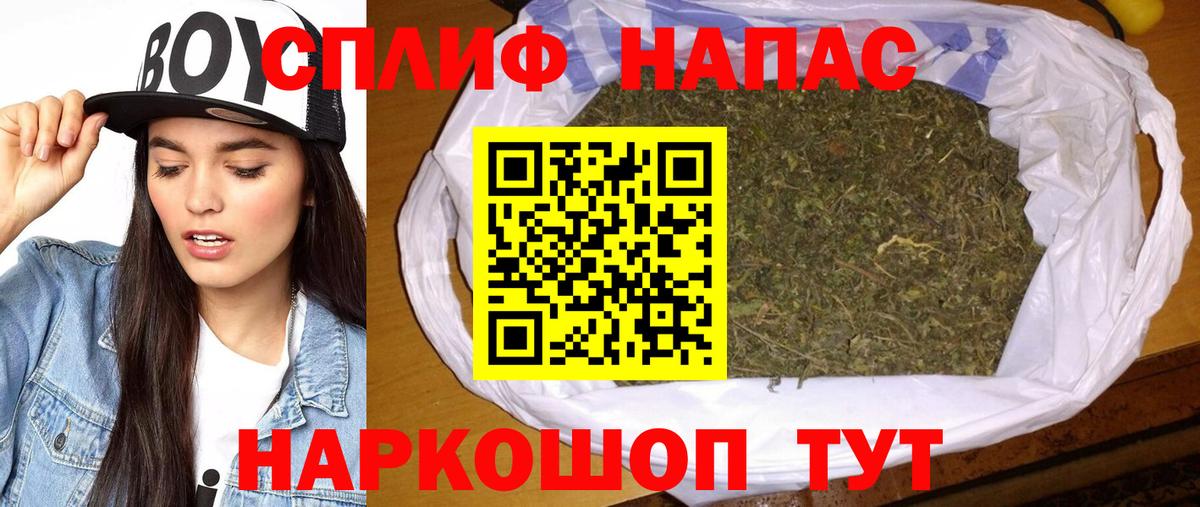 Канабис планчик Шали