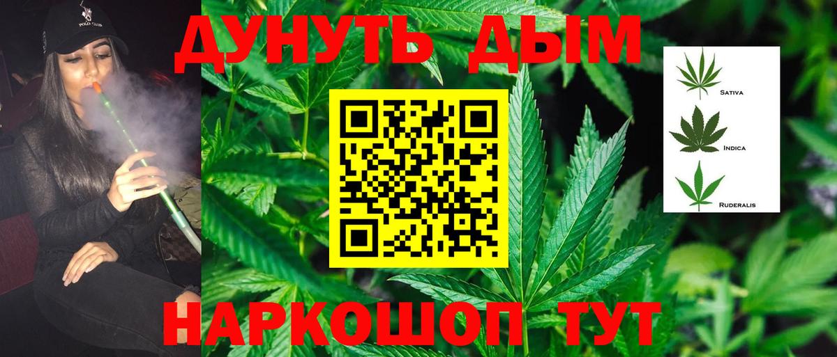 Бошки марихуана AK-47  Конопля план  Шали  Марихуана Amnesia  Вход с VPN 